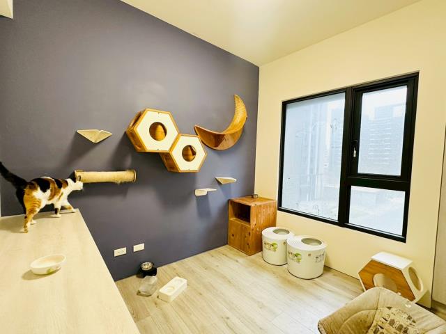 新竹北區大樓-5