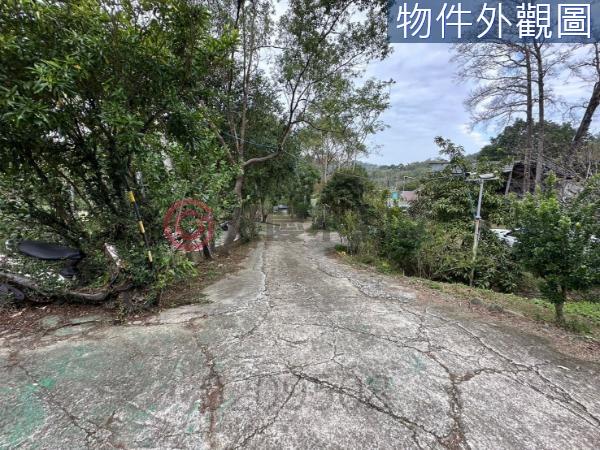 新竹竹東農地-1