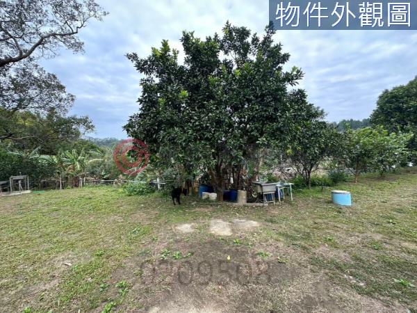 新竹竹東農地-3