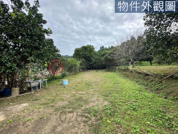 新竹竹東農地-4
