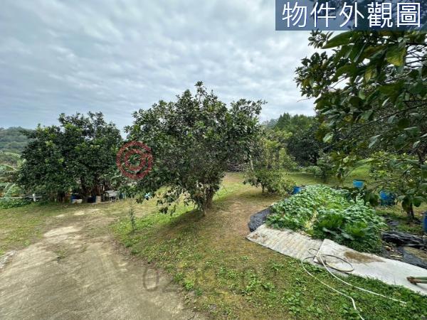 新竹竹東農地-6