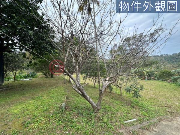 新竹竹東農地-7