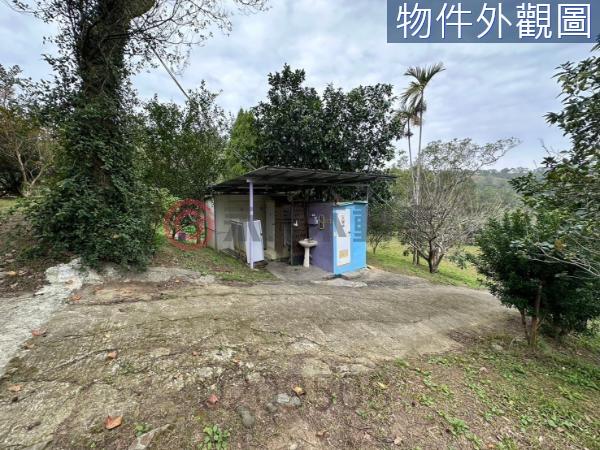 新竹竹東農地-8