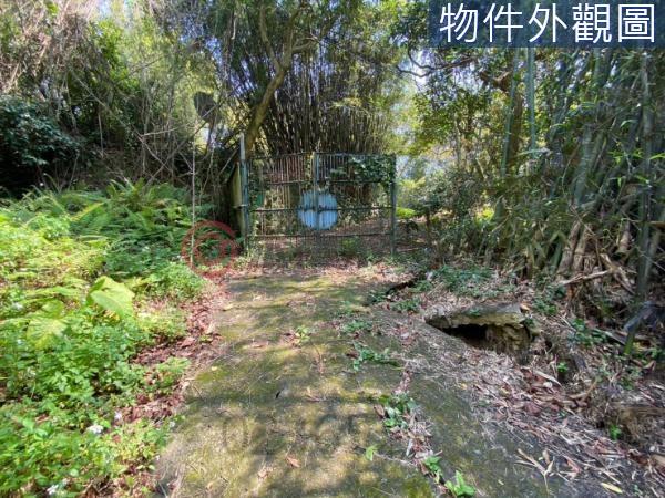 新竹新埔農牧用地-6