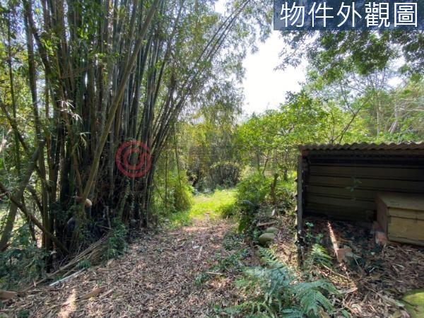 新竹新埔農牧用地-7