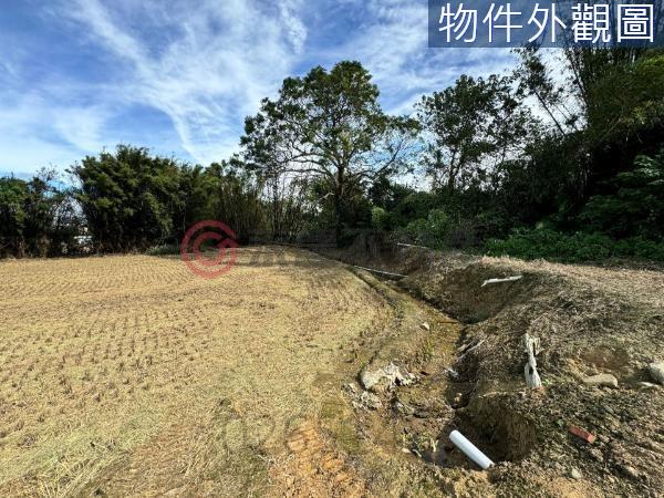新竹竹東農地-0