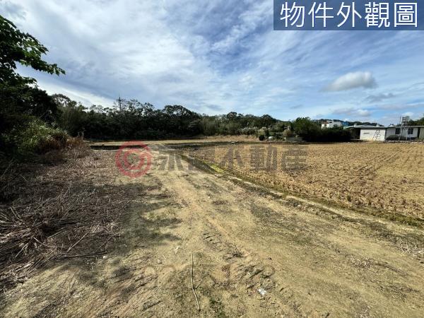 新竹竹東農地-2