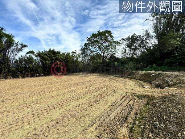 新竹竹東農地-4