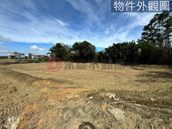 新竹竹東農地-5