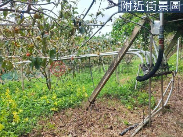 新竹新埔農地-0