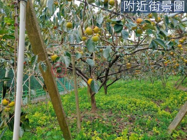 新竹新埔農地-3