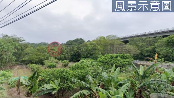 新竹竹東工業地-8