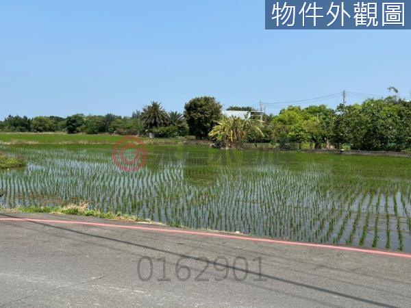 新竹北區農地-1