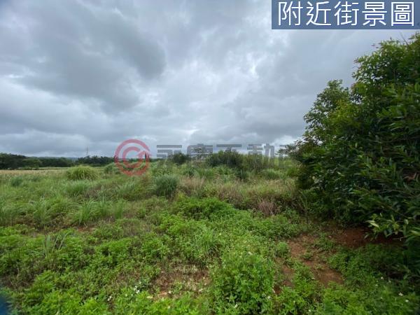 桃園楊梅農地-5