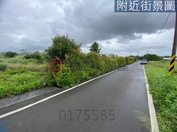 桃園楊梅農地-6