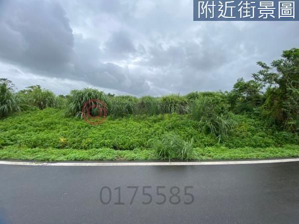 桃園楊梅農地-8