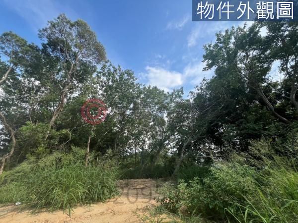 香山農地-9
