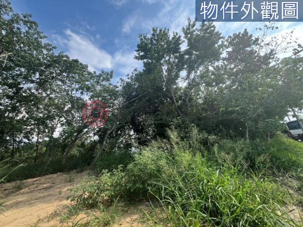 香山農地-3