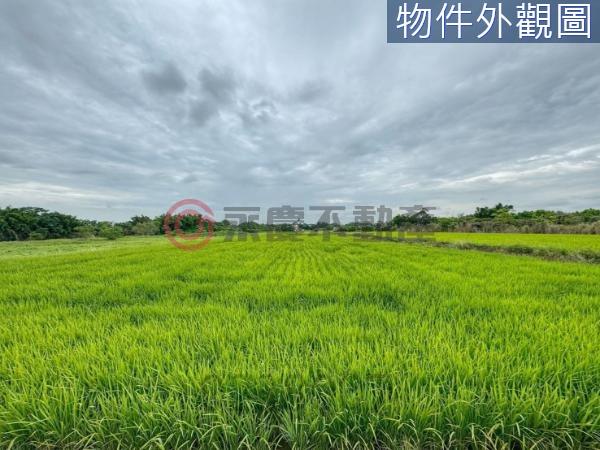 新豐農地-9