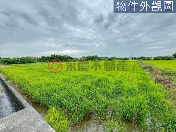 新豐農地-0