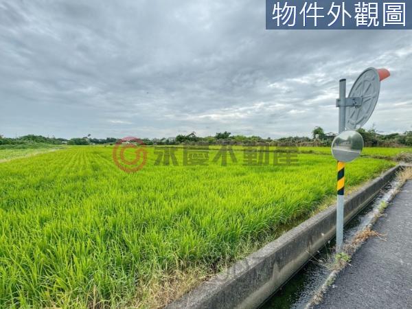 新豐農地-2