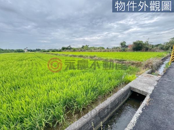 新豐農地-3