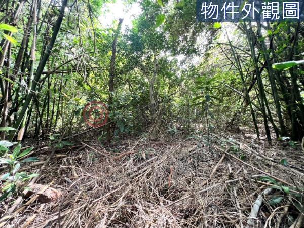 新竹農地-10