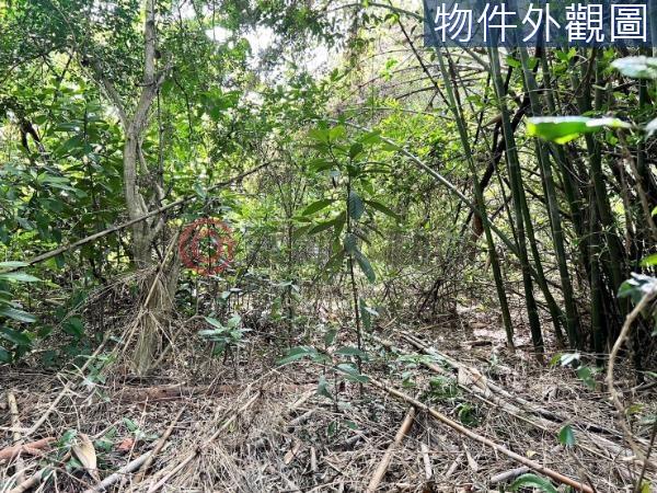 新竹農地-0