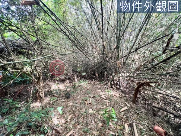 新竹農地-7